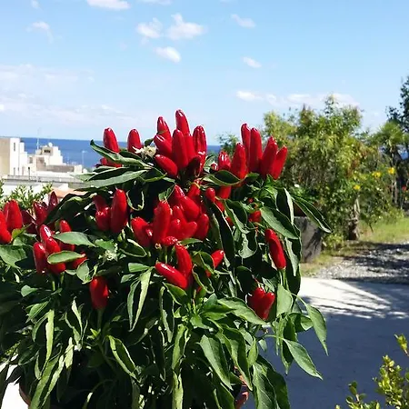 Hotell La Zagara