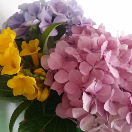 La Zagara Ξενοδοχείο 4*