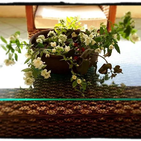 Ξενοδοχείο La Zagara