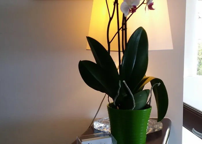 La Zagara 4* Lipari (Isola Lipari)